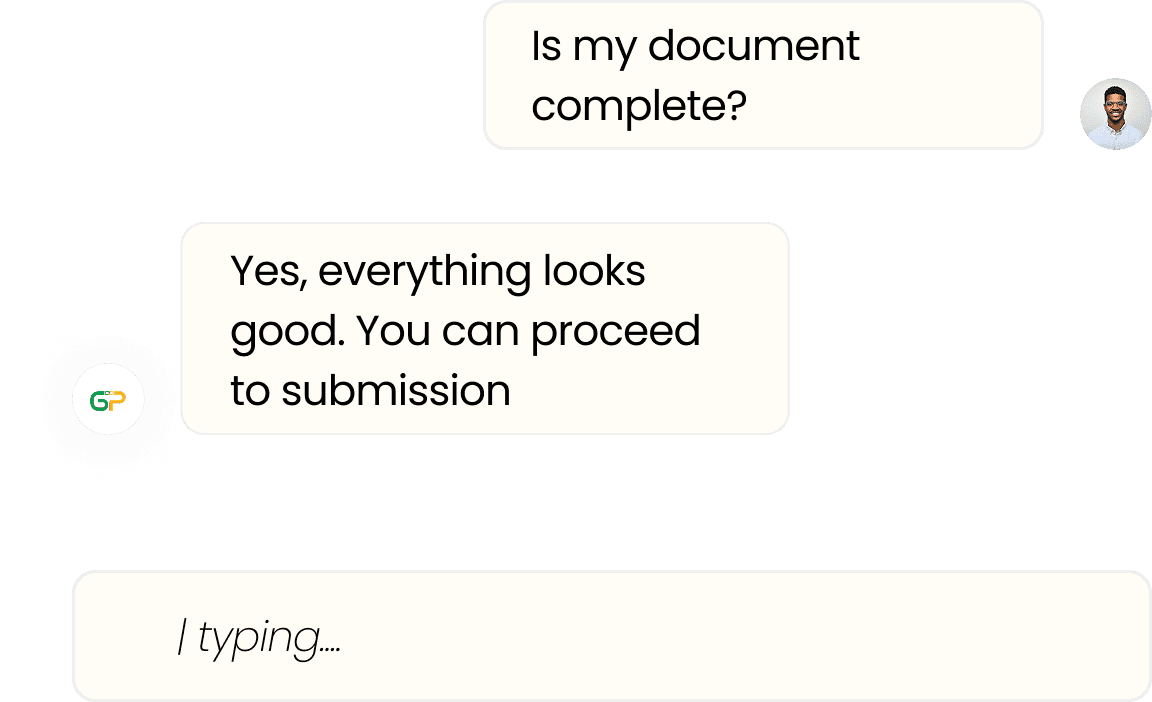 Chat support during visa application